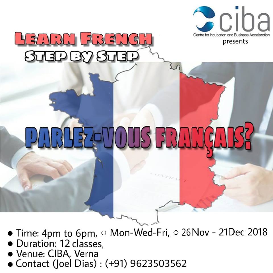 ciba-LEARN FRENCH step by step